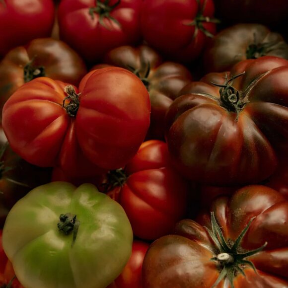 Flamingo Estate Heirloom Tomato Candle 4oz - Picture 2 of 6